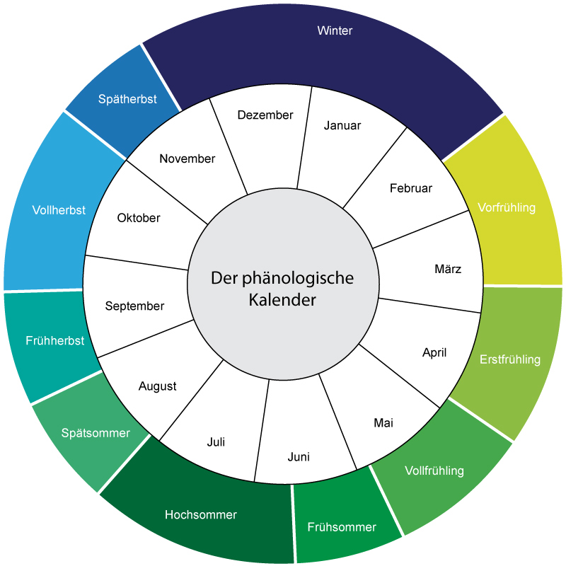 Der phänologische Kalender  10 Jahreszeiten