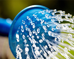 Gartentipps zum Blumen im Garten gießen Gartentipps zum Blumen im Garten gießen
