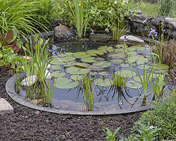Gartentipps zum Gartenteich Gartentipps zum Gartenteich
