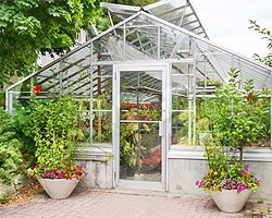Gewächshaus Gewächshaus