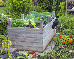 Hochbeet im Garten