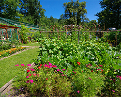 Gemüsegarten mieten