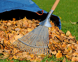 Gartentipps im Oktober für Herbstlaub