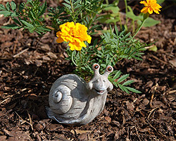 Rindenmulch Rindenmulch
