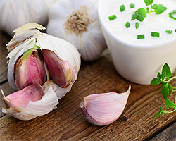 Knoblauch-Dip Knoblauch-Dip