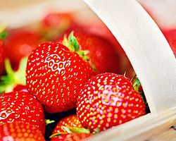 Gartentipps im Juni für Erdbeeren markieren Gartentipps im Juni für Erdbeeren markieren