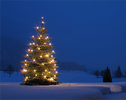 Weihnachtsbeleuchtung