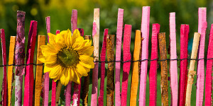 Gartenzaun | Tipps zu Zaunhöhe sowie Grenzabstand