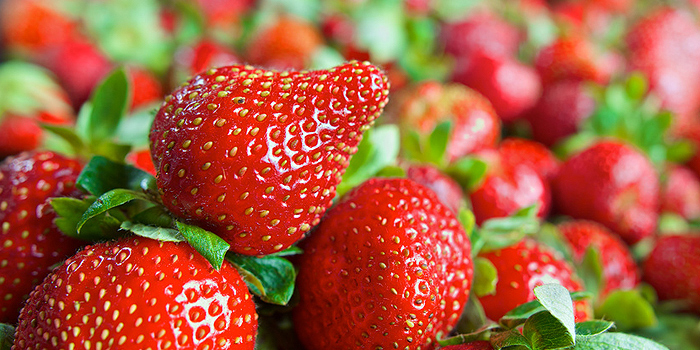 Süße Erdbeeren aus dem eigenen Garten