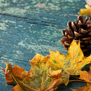 Herbst