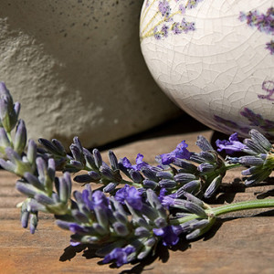 Mediterraner Garten