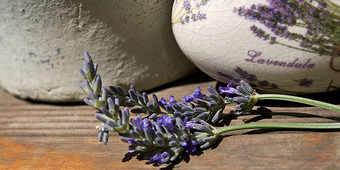 Mediterraner Garten – südliches Feeling vor der Haustüre