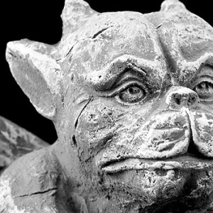 Gargoyle