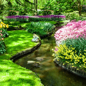 Garten im Frühling
