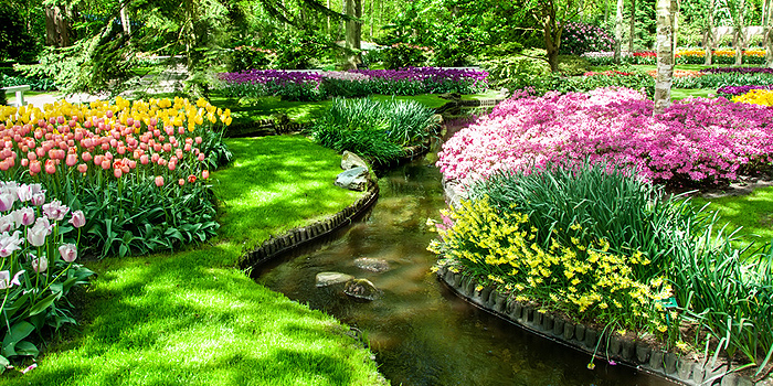 Garten im Frühling