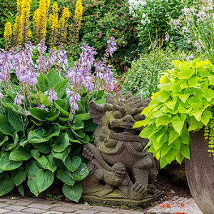 Gartenpflege