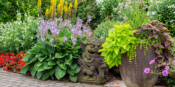 Gartenpflege