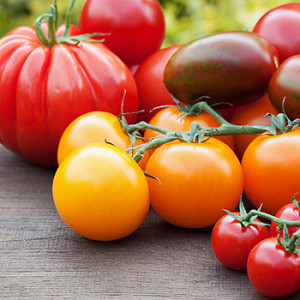Tomaten