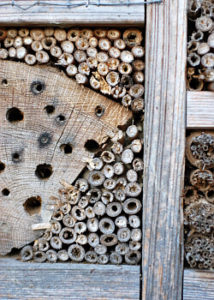Insektenhotel