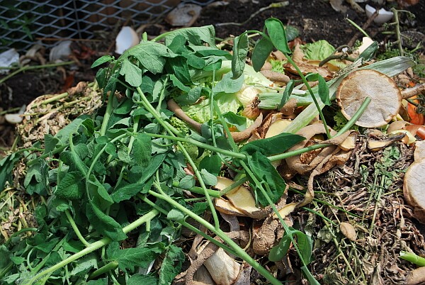 Dünger im Garten Dünger im Garten