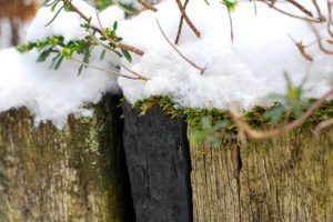 Beeteinfassung aus Holz mit Schnee bedeckt