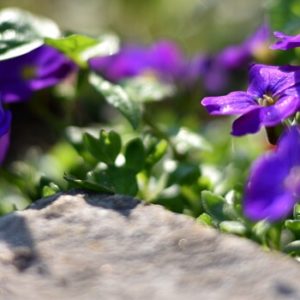 Beeteinfassung aus Stein