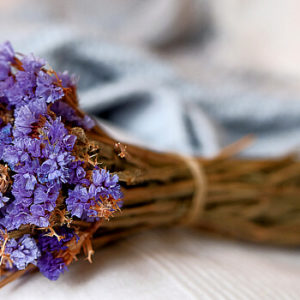 getrocknete Blumen