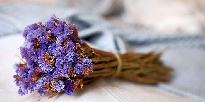 Blumen trocknen und die Schönheit erhalten