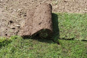 Rollrasen verlegen