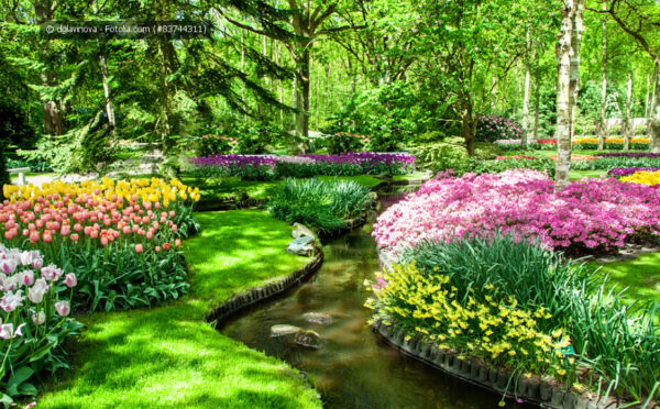 Der Garten im Frühling: wenn die Natur erwacht