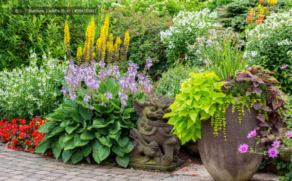 Gartenpflege: So wird′s ein schöner Garten!