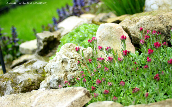 Steingarten – mediterranes Feeling und ein Heim für Eidechsen