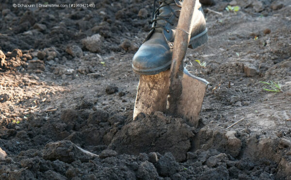 Der Gartenboden und die Unterschiede