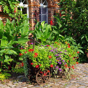 Bauerngarten mit vielen bunt blühenden Blumen Bauerngarten mit vielen bunt blühenden Blumen