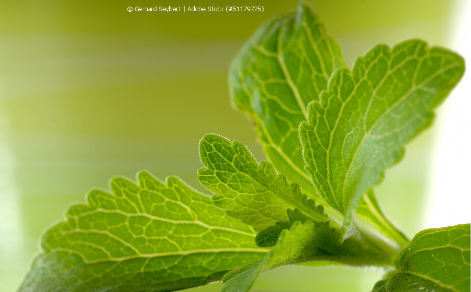 Stevia