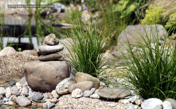 Abwechslung im Garten: das Kiesbeet