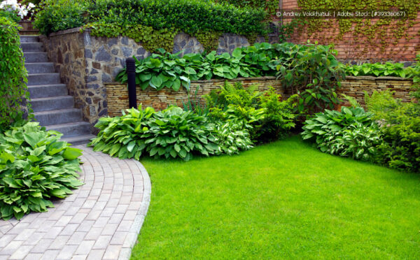 Verschiedene Stauden für die dunkleren Bereiche im Garten