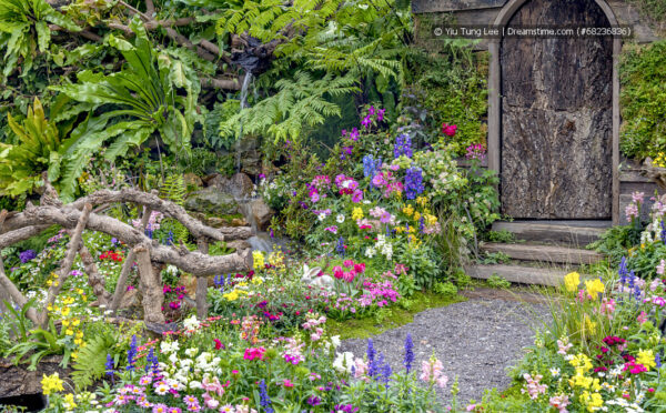 Blühkalender fürs ganze Jahr – Frühling, Sommer und Herbst im Garten