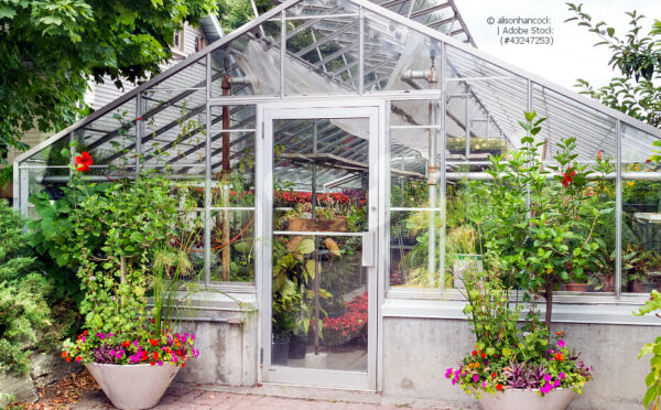 Gewächshaus – für Jungpflanzen, Gemüse und exotische Blumen