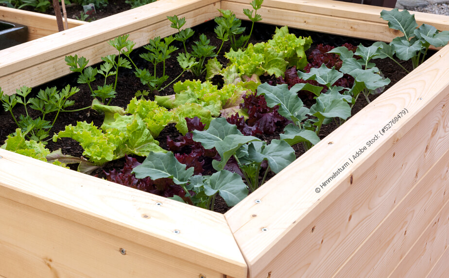 Hochbeet anlegen im Garten