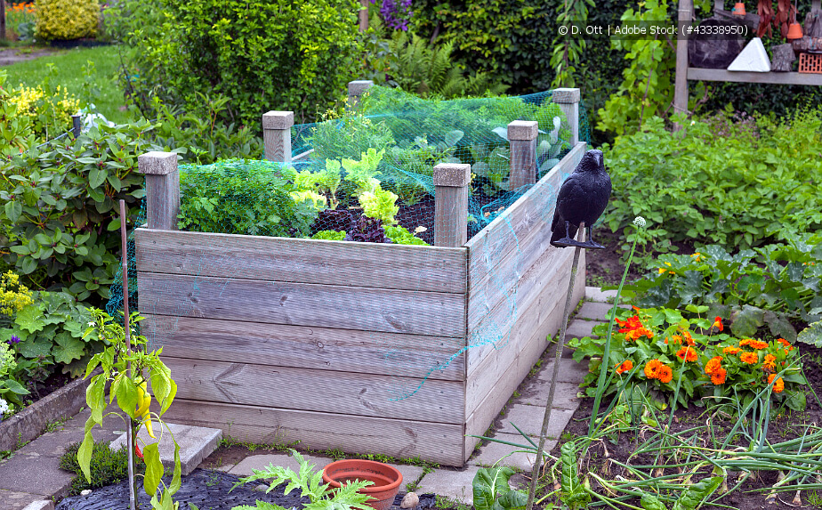 Hochbeet im Garten