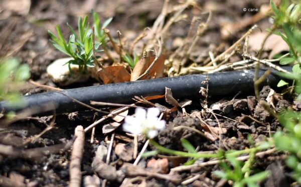 Bewässerungssysteme selber bauen – einfache Lösungen für dee Garten