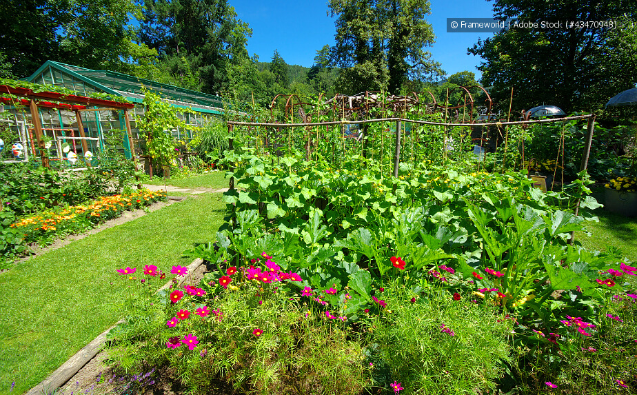 Gemüsegarten mieten