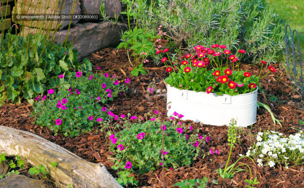 Mulchen im Garten – die Natur als Vorbild