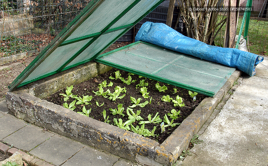 Gartentipps im März - Frühbeetkasten