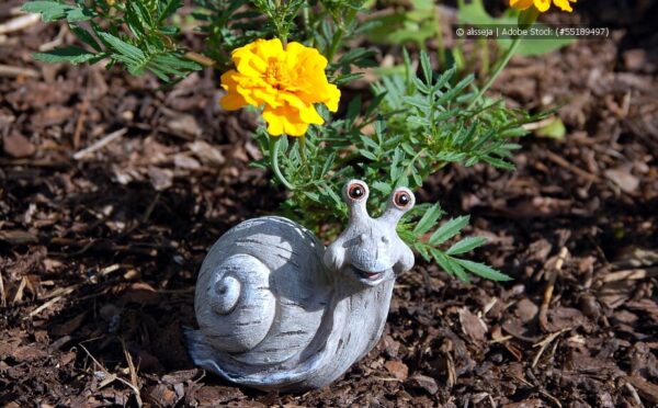Vor- und Nachteile von Rindenmulch