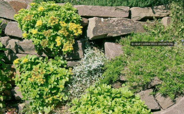 Trockenmauer im Garten – will ich haben!