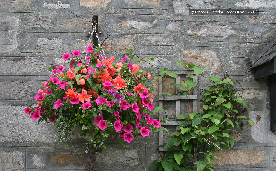 Blumenampel