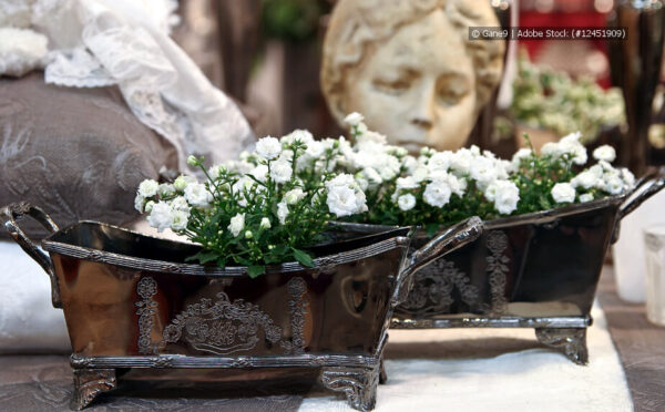 Blumenkästen bepflanzen – schöne Ideen für jede Jahreszeit