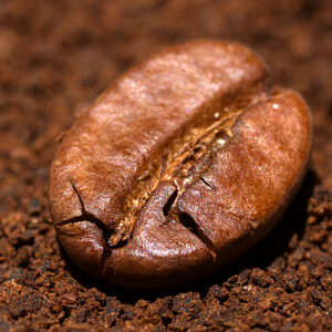Kaffeesatz als Dünger - Kaffeebohne mit gemahlenem Kaffee Kaffeesatz als Dünger - Kaffeebohne mit gemahlenem Kaffee